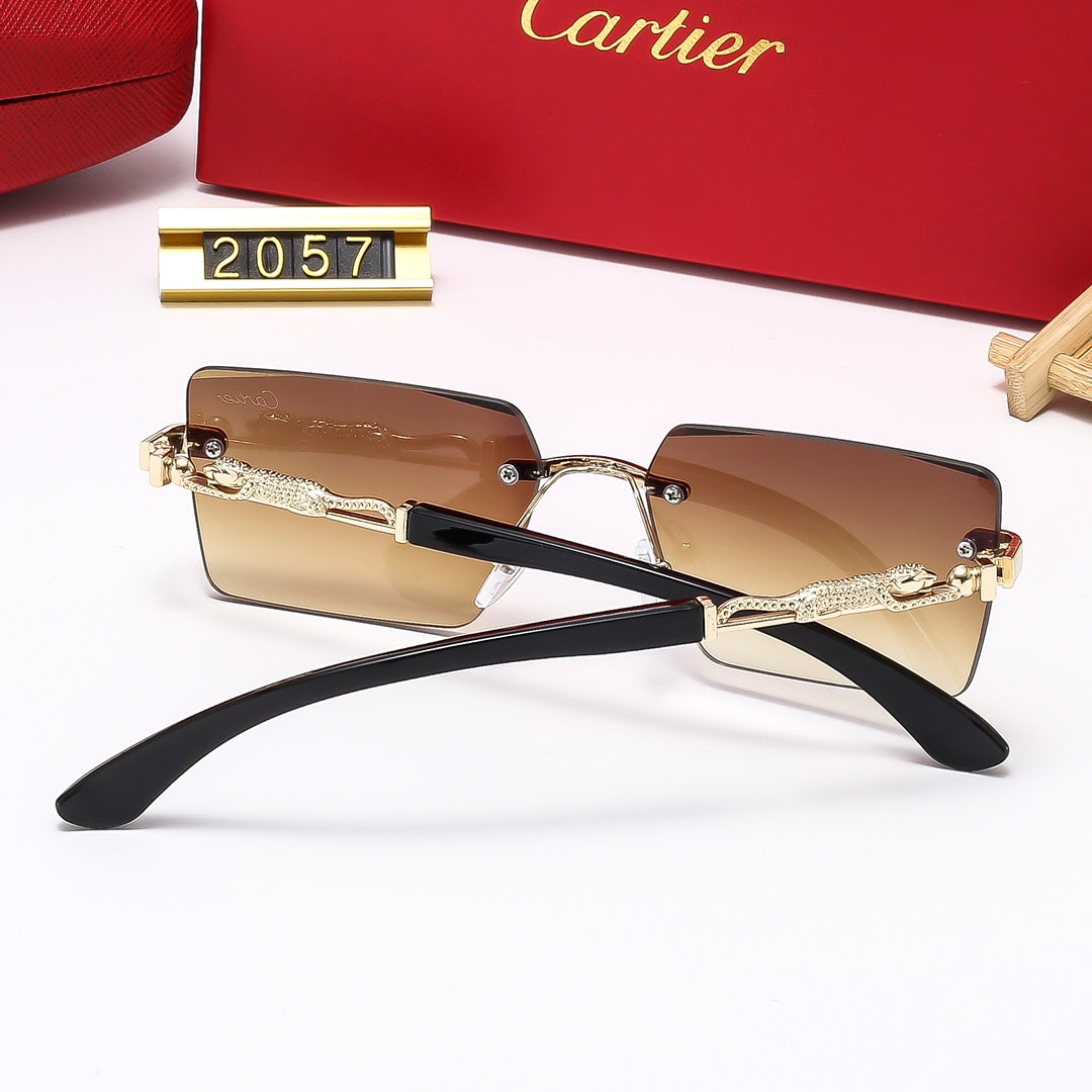 Luxury Eyewear: Elevate Your Style with Exquisite Craftsmanship-33